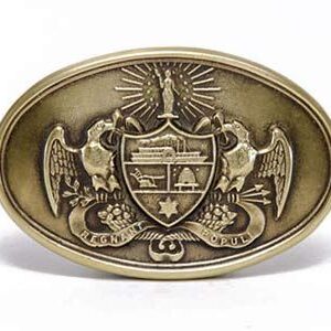 A gold belt buckle with an eagle and shield on it.